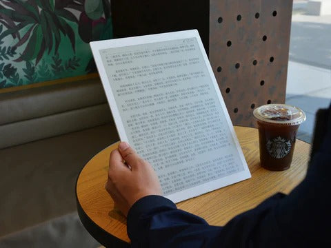 DASUNG A4 Digital Paper eReader