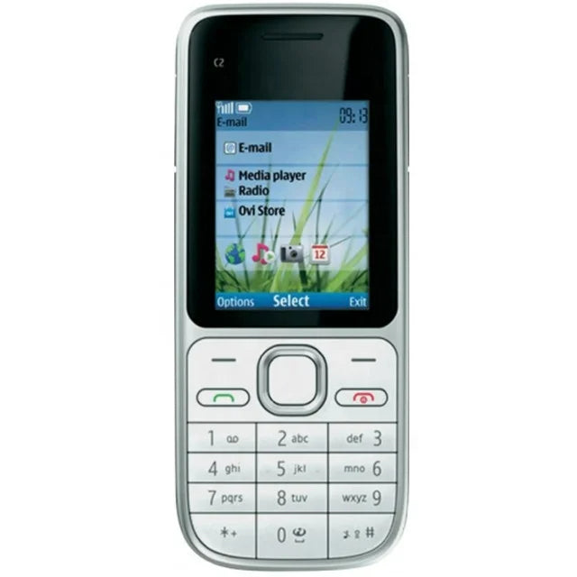 Nokia C2-01 Original Keypad Mobile Phone