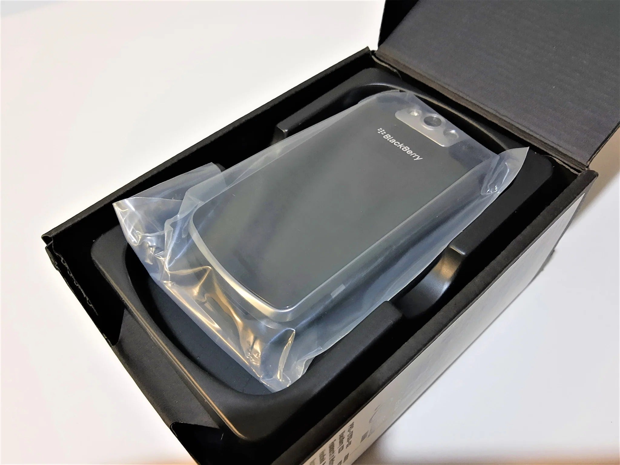 BlackBerry Pearl Flip 8220