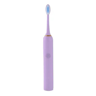 Miniso Battery Powered Roman Pillar Design Electric Toothbrush with 3 Heads (Purple)